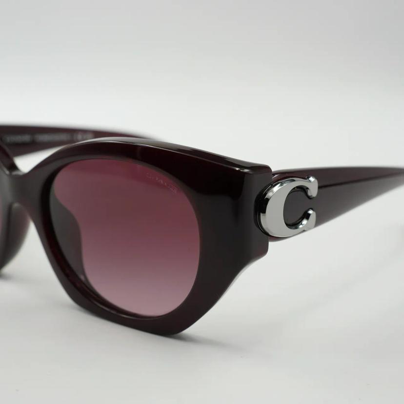 แว่นตา Coach รุ่น 0HC8407U