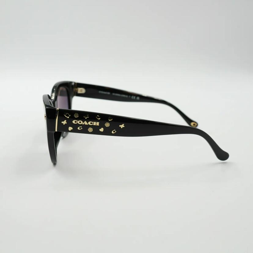 แว่นตา Coach รุ่น 0HC8393U