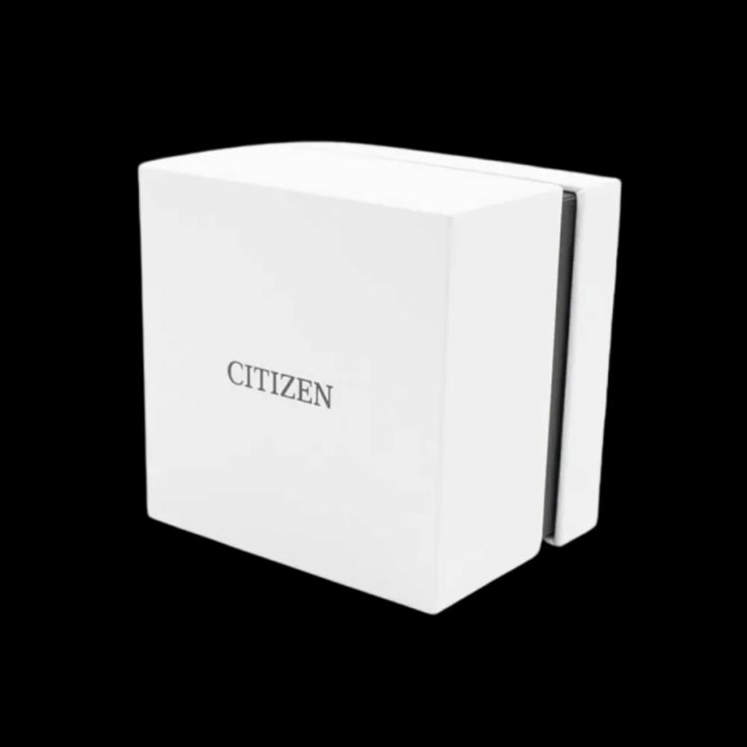 นาฬิกา CITIZEN รุ่น AN8200-50E
