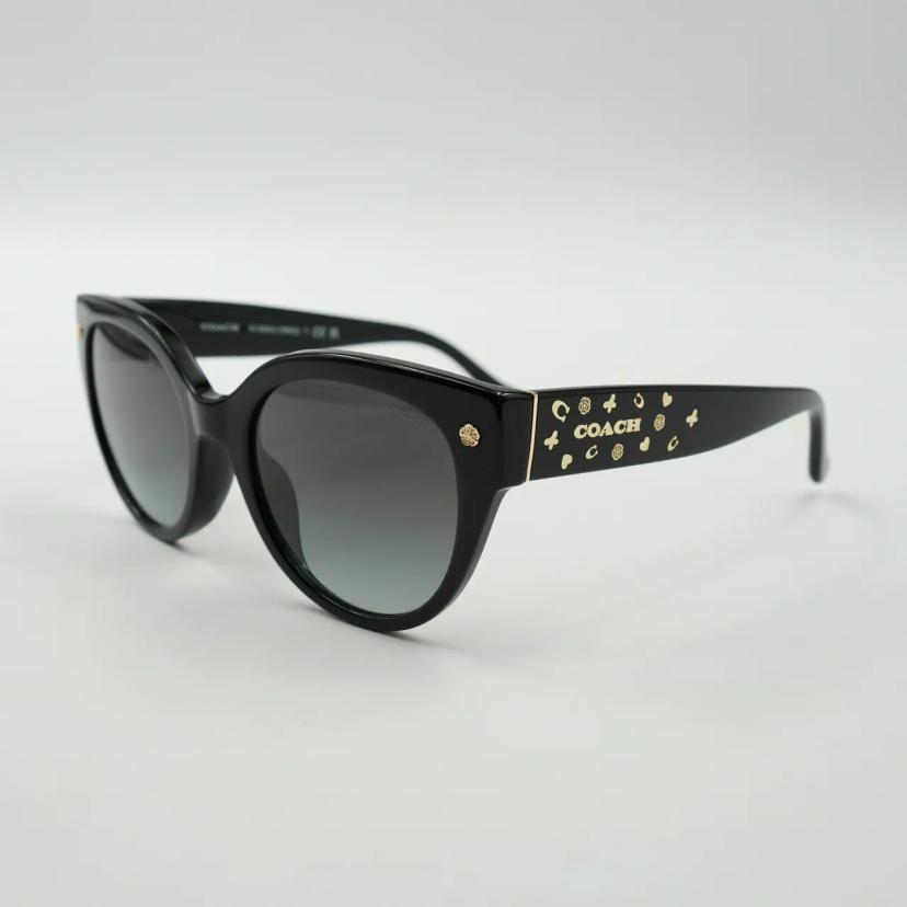 แว่นตา Coach รุ่น 0HC8393U