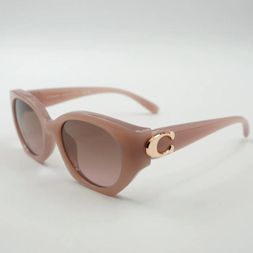 แว่นตา Coach รุ่น 0HC8407U